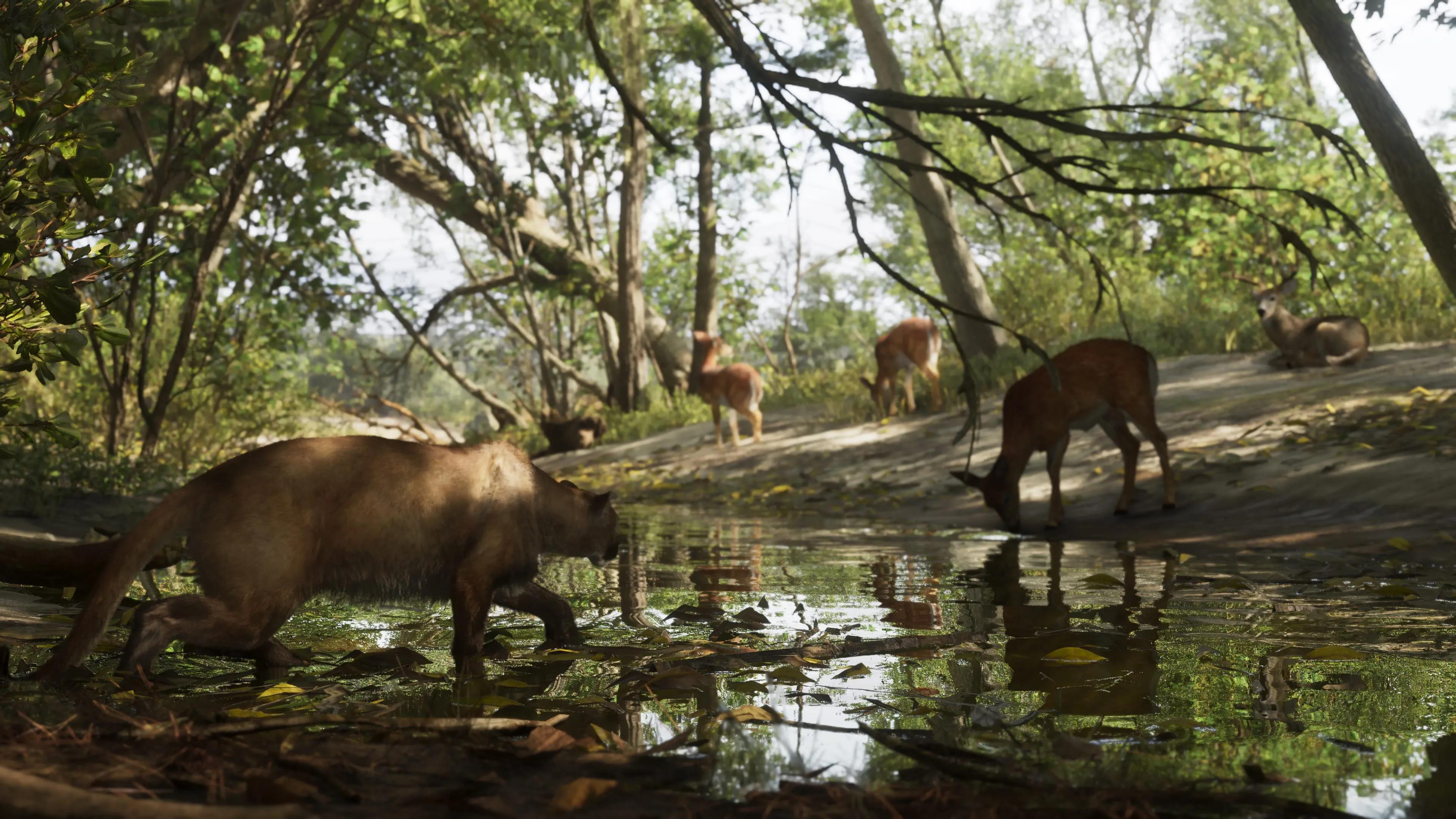 GTA 6 a panther by a stream in Mount Kalaga National Park